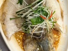 清蒸鲈鱼-红菜坊·烤鸭·川鲁宴(石园店)