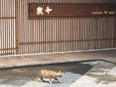 -乐嘉生活广场(加城花园店)