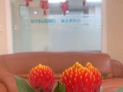 -海之声助听器 瑞士峰力直营中心(华麟大厦店)