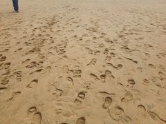 -日照海滨国家森林公园
