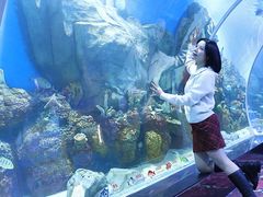 -顺德南宏海立方海洋公园