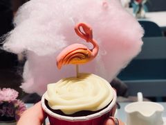 火烈鸟-随心小姐