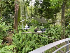 -新加坡飞禽公园