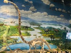 -自贡恐龙博物馆