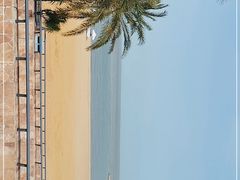 -太平洋咖啡(海滨泳场店)