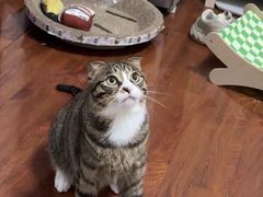 -联合动物医院(光谷诊疗中心)