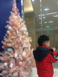 -SoSweet香港专业儿童美发沙龙