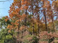 -徐家汇源景区-衡山公园