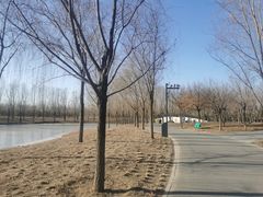 -东郊湿地公园