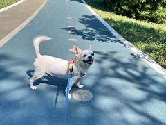 -天津前进宠物医院(前进道店)