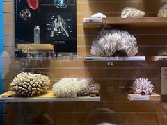 -青岛海底世界-水族馆