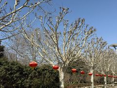 -郑州植物园