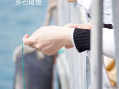 -枸杞岛