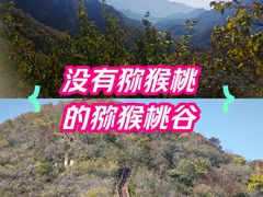 -大岭沟猕猴桃谷风景区