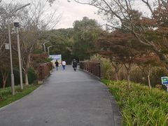 -昆山城市生态森林公园