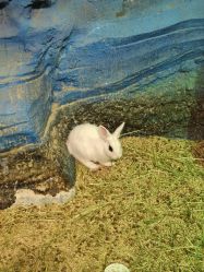 -酷嗒动物文化乐园(cutezoo西溪乐天城店)