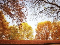 -西安电影制片厂