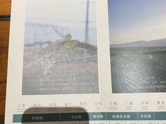 -源石酒庄