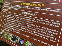 -黄山翡翠谷景区