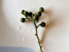 -半天妖烤鱼(方庄店)