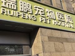 -瑞鹏宠物医院·宠保定点·心脏科·内科(御桥分院)