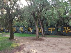 -黄帝陵