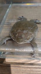 -Zoolung Zoolung动物主题公园(海信广场店)