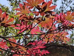-七彩云南古滇温泉山庄