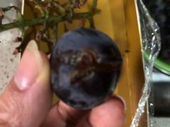 -百果园(三条巷店)