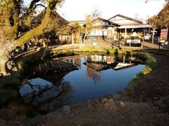 -河口湖八音盒之森美术馆