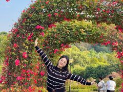 -东莞植物园