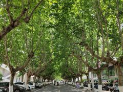 -四川农业大学(雅安校区)