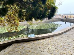 -青岛第二海水浴场