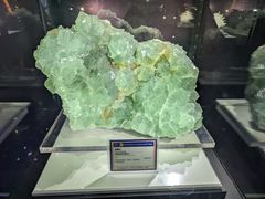 -中国地质大学逸夫博物馆