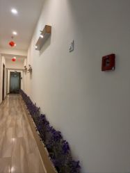 -FUMEIHUI·科技美肤·美体SPA