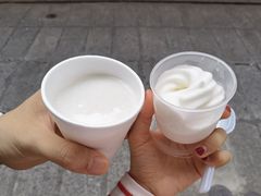 -洪馨椰子