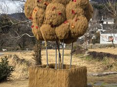-塔川景区