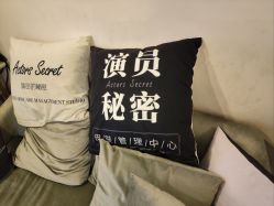 -演员的秘密·皮肤管理