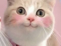 -海底捞火锅(亲子主题北金鹰店)