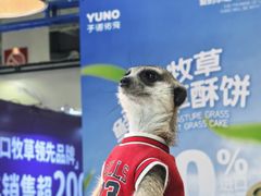 -宁波国际会展中心