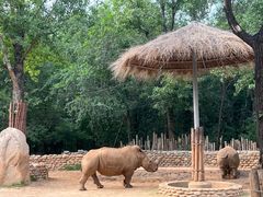 -北京野生动物园