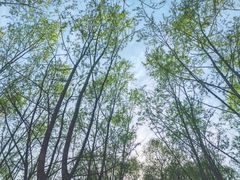 -东郊湿地公园