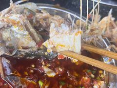-老杨砂锅鱼庄
