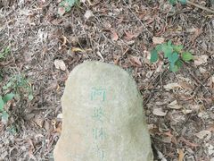 -羚羊峡古栈道森林公园