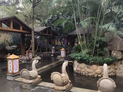 -泉眼温泉