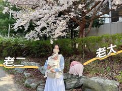 -大班家政月嫂育儿嫂(深圳NO.1店)