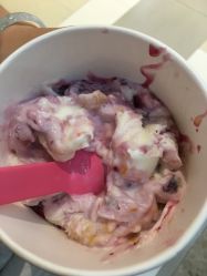 -朵莉丝希腊冻酸奶