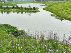 -洋湖国家湿地公园
