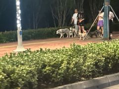 -白塘生态植物园