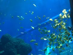 -成都浩海立方海洋公园